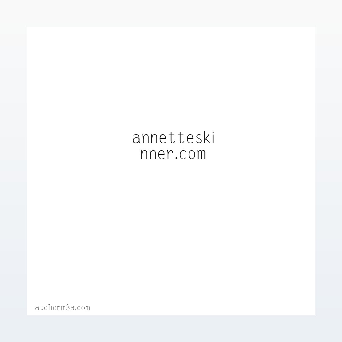 常见问题 - annetteskinner.com - Home 方图